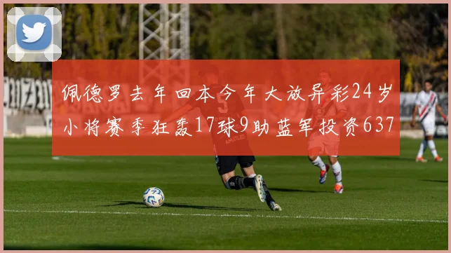 佩德罗去年回本今年大放异彩24岁小将赛季狂轰17球9助蓝军投资6370万回报丰厚