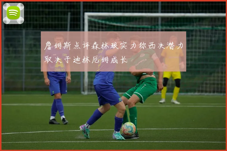 詹姆斯点评森林狼实力称西决潜力取决于迪林厄姆成长