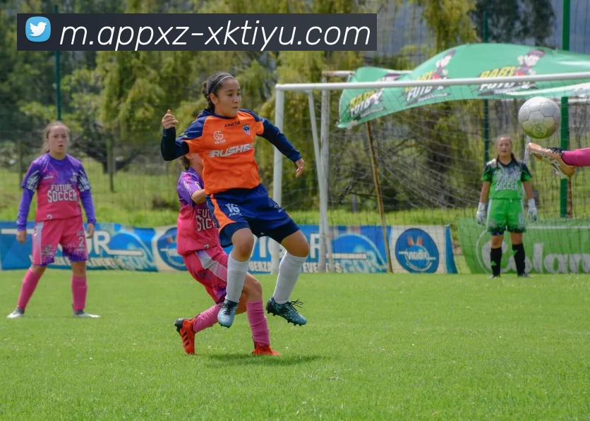 星空体育APP 封面图